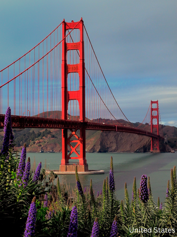 Horizon Quest Agency LA Bridge