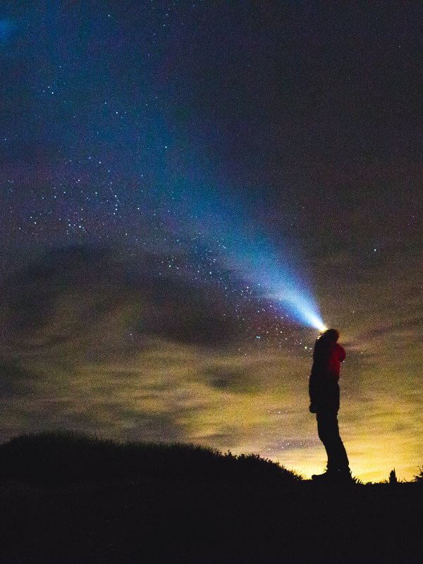 stargaze in jasper horizon quest agency stargaze in jasper horizon quest agency